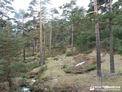 Siete Picos - Parque Nacional Cumbres del Guadarrama;escapadas desde madrid municipios de toledo